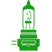 Ampoule feu de route: H11B